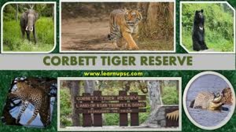 ​​​​​​​Elephant Safari Resumes in Corbett Tiger Reserve After Seven-Year Gap