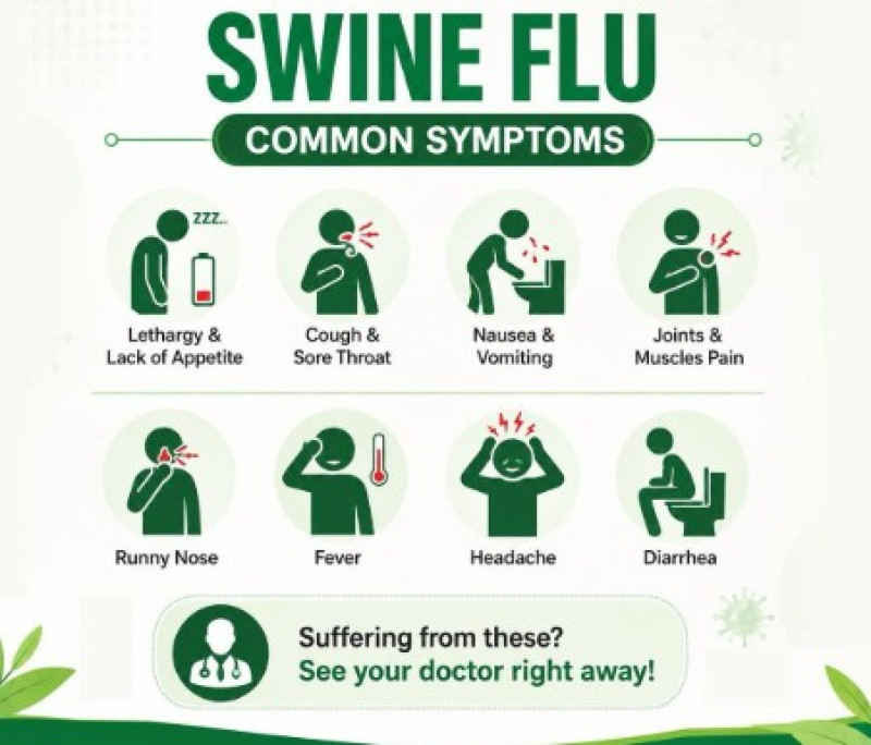 Uttarakhand Reports Three New Swine Flu Cases; Total Rises to 52, Rapid Response Teams Active in All Districts