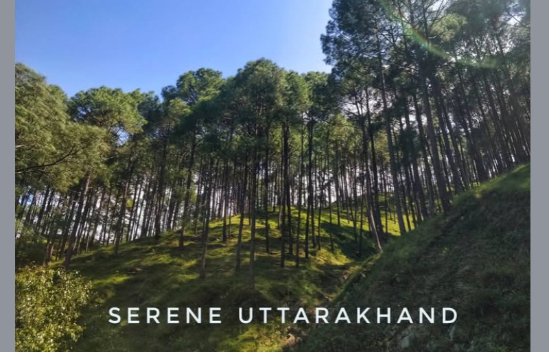 Uttarakhand Battles Deforestation and Climate Crisis